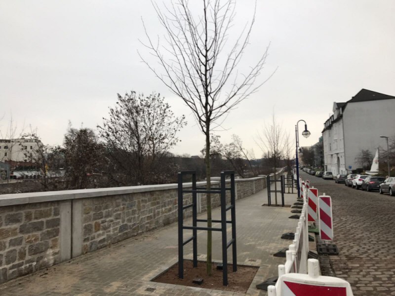 WhatsApp Image 2016-12-10 at 15.24.54.jpeg